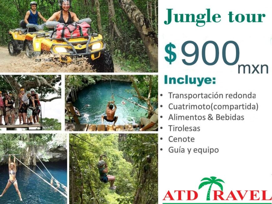 JUNGLE TOUR
